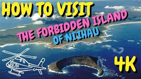  Forbidden Island！あなたは冒険心あふれる探検家になりきることができるのか？